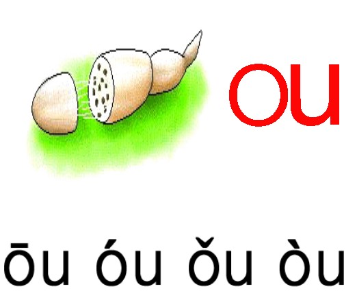 СW(xu)Z(y)ƴ